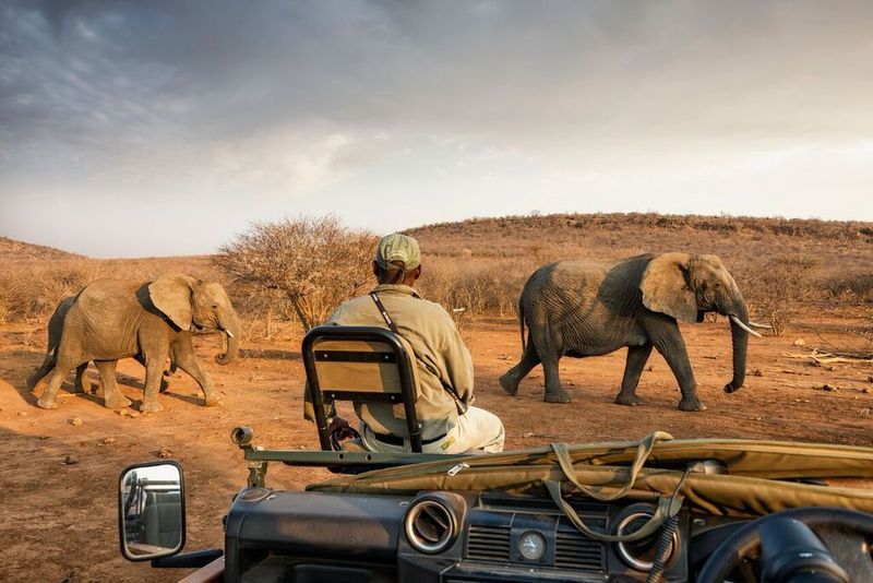 Impodimo Game Lodge Madikwe Game Reserve Luaran gambar